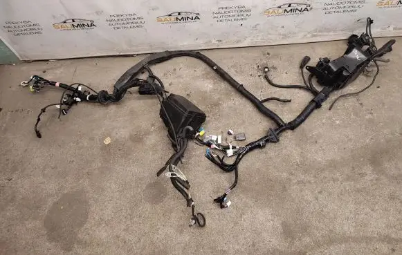 Lexus NX Engine installation wiring loom