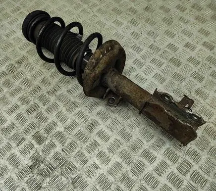 Opel Ampera Front shock absorber/damper 23448003