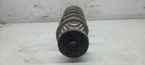 Rear coil spring