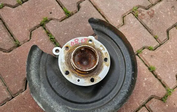Opel Grandland X Rear wheel hub 9820098380