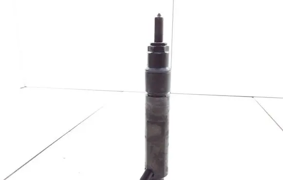 Volkswagen Golf IV Fuel injector 038130201G 0432193733