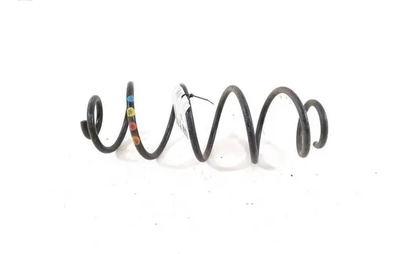Rear coil spring