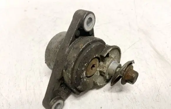 Chevrolet Epica Generator/alternator belt tensioner dy11