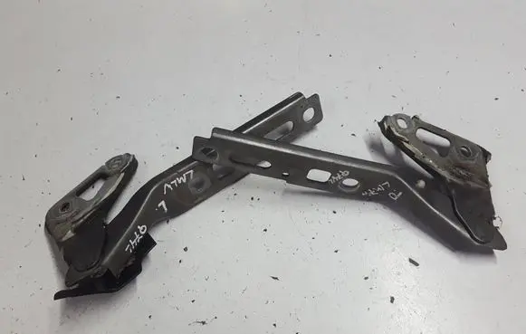 Audi Q7 4L Engine bonnet/hood hinges 