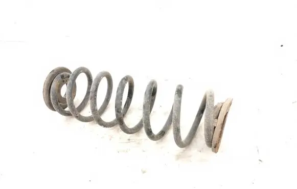 Volkswagen PASSAT B7 Rear coil spring