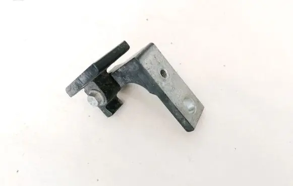 Rear door lower hinge