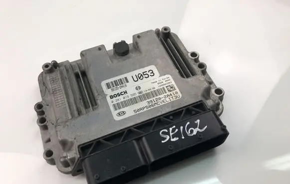 KIA Carens III Engine control unit/module 391202A410