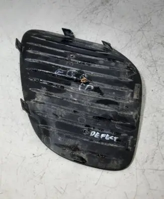 Front fog light trim/grill