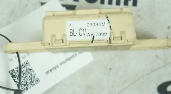KIA Sportage Other control units/modules BLICM