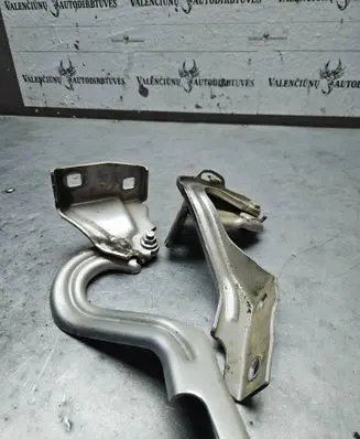 Citroen Jumper Engine bonnet/hood hinges
