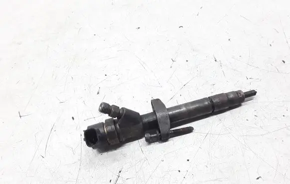 Renault Espace - Grand espace IV Fuel injector 8200084534 0445110084