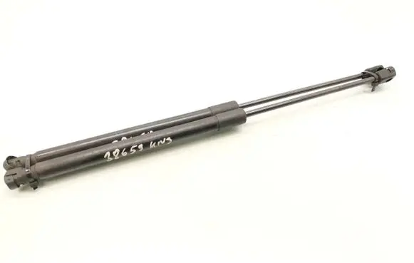 Opel Insignia A Tailgate/trunk strut/damper 13332570 315005777