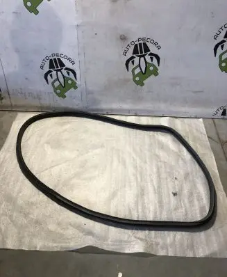 Citroen C3 Sliding door rubber seal 9813059680