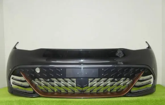 Cupra Born Front bumper 10E807221D