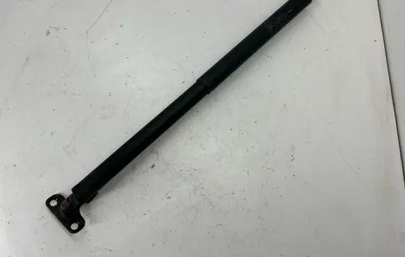 Ford Edge II Tailgate/trunk strut/damper FT4BR402A74AA 413244S990N