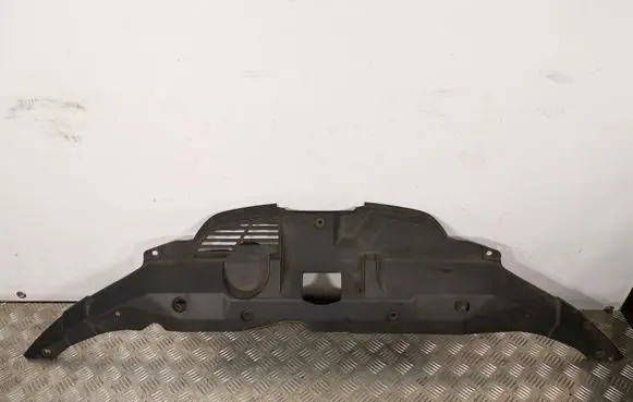 Engine bonnet/hood lock trim molding
