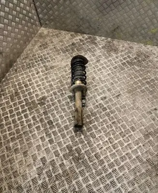 Smart ForFour I Front shock absorber/damper 4543204030 A4543204030