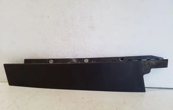 Other rear door trim element