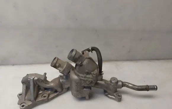 Thermostat/thermostat housing