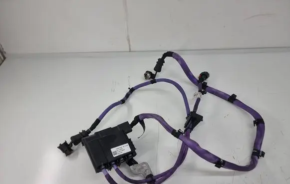 BMW X5 G05 Positive wiring loom 8796333