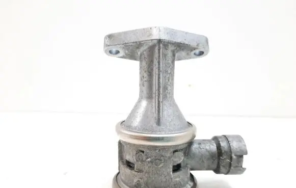 EGR valve