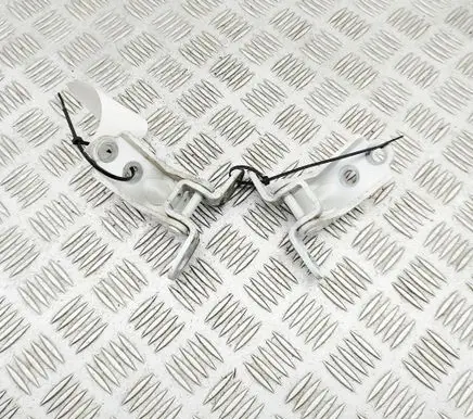KIA Optima Front door hinges set 793203K000