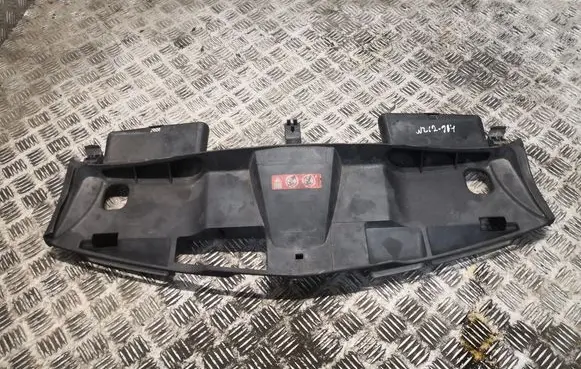 Radiator trim