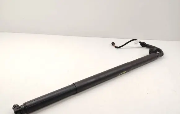 Tailgate strut