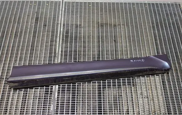 Honda Odyssey Front door trim (molding) 75312T6AJ1234