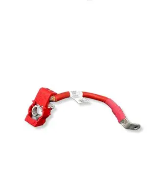 BMW 5 G30 G31 G38 Positive cable (battery) 9350064 65367380