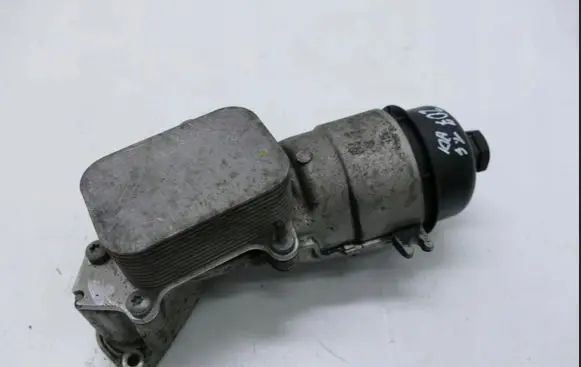 Peugeot 207 Oil filter mounting bracket 3341312765