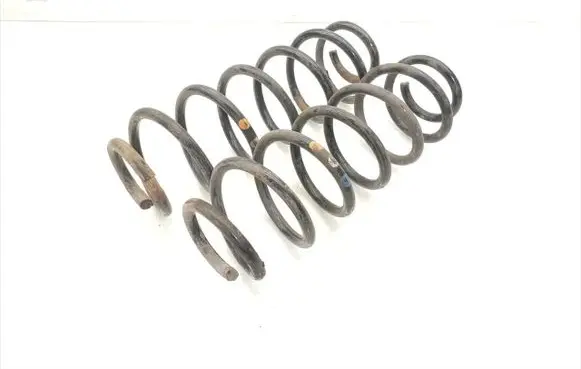 Rear coil spring
