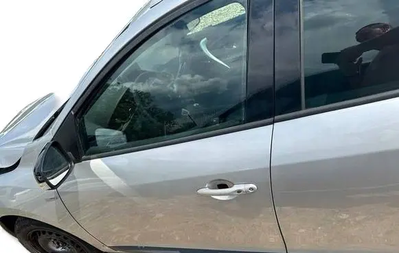 Renault Megane III Front door 