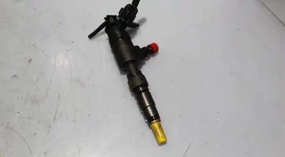Citroen Berlingo Fuel injector