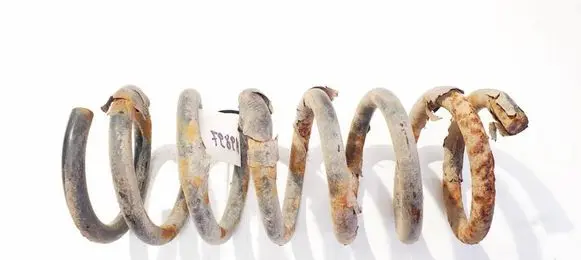 Rear coil spring