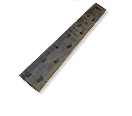 Renault Scenic III - Grand scenic III Front door trim (molding) 808770002R