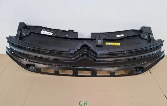 Citroen C3 Front grill 9812063477
