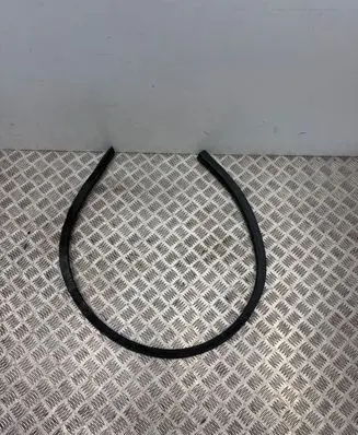 Jaguar F-Type Rubber seal front door (on door) EX5320708A
