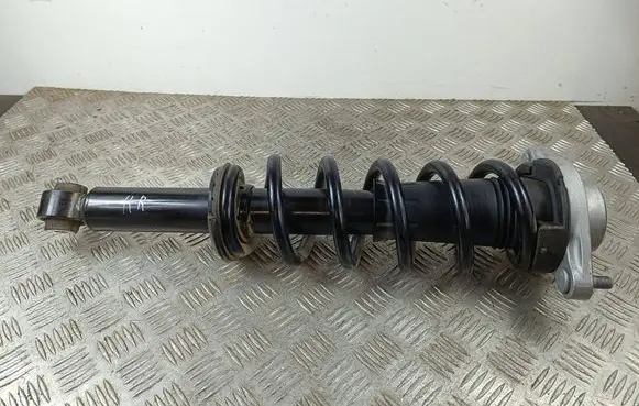 Mazda CX-70/90 Rear shock absorber with coil spring B0505956 KJK328700 814903020619