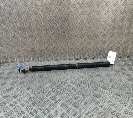 Tailgate/trunk strut/damper