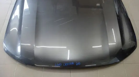 Engine bonnet/hood
