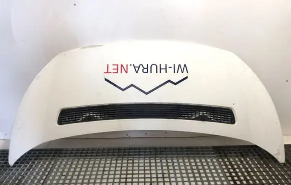 Fiat Scudo Engine bonnet/hood 