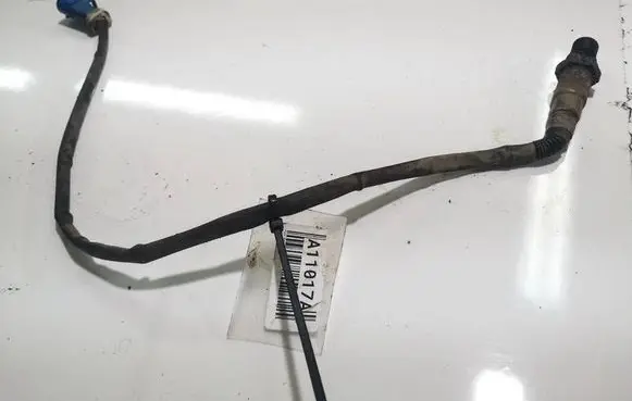 Ford Focus Lambda probe sensor 