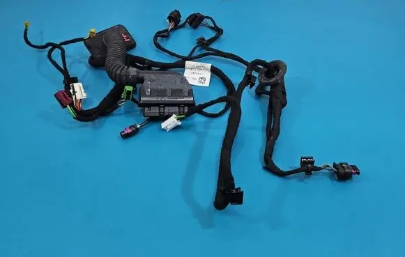 Mercedes-Benz S W222 Front door wiring loom A2225409431 IMPRK1560697