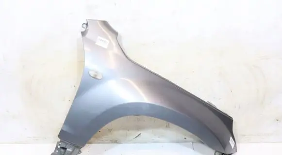 Suzuki Grand Vitara II Fender 