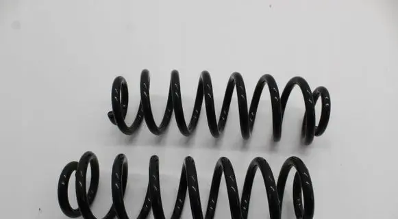 Skoda Kodiaq Rear coil spring 5QF511115