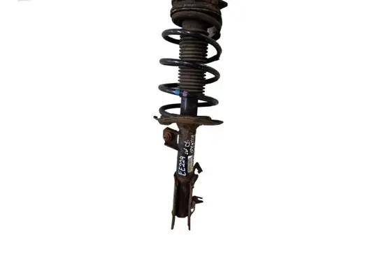 Nissan Qashqai Front shock absorber with coil spring 54302BR00B 824903007720