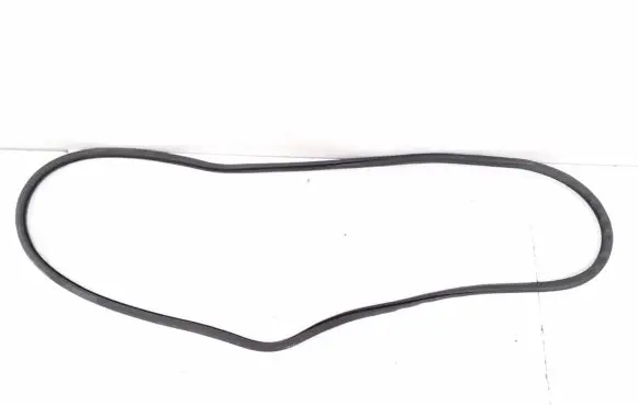 Porsche Panamera (970) Front door rubber seal 97053726501