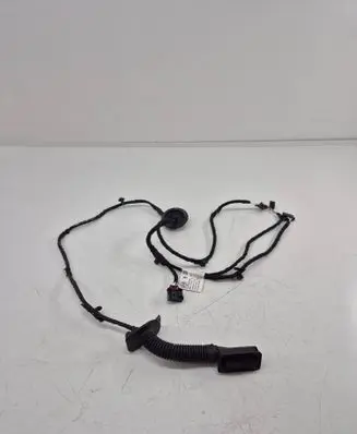 Cupra Born Rear door wiring loom 4636518
