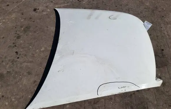 Engine bonnet/hood
